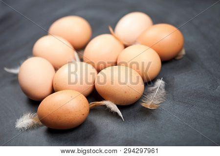 Farm chicken eggs and feathers closeup on black background. 