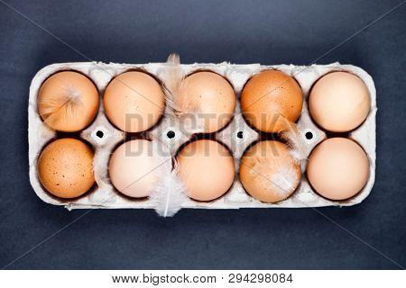 Farm chicken eggs in cardboard container and feathers on black background. Top view.