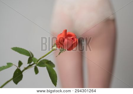 Woman Rose. Close Up Of Fit Female Body Wearing Tight Panties. Isolated On Background. Blurred Butto