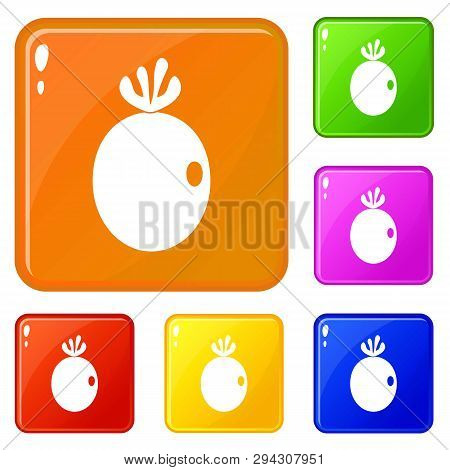 Feijoa Fruit Icons Set Collection Vector 6 Color Isolated On White Background