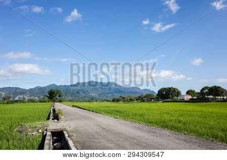 road at green paddy farm in the countryside