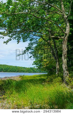 View Of The Mersey River, In Kejimkujik National Park, Nova Scotia, Canada