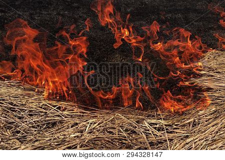 Fire Dry Grass In The Field. The Burning Flares Up Dangerously.