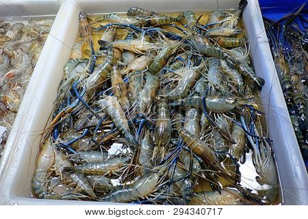 Local River Shrimp Or Macrobrachium Rosenbergii In The Thai Market For Ingredients To Cooking.