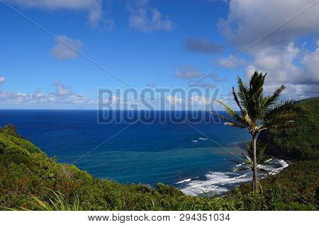 Tropical Beach On Hawaii Big Island. Palm Tree, Blue Water, Black Sand Beach. Blue Sky.