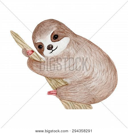 Watercolor Cute Sloth On The Palm Tree. Tropical Animal. Clipart Isolated On White Background. Hand 