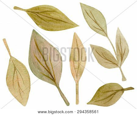 Seamless Pattern Of Hand Drawn Watercolor Delicate Flowers And Leaves. Design For Wedding Invitation