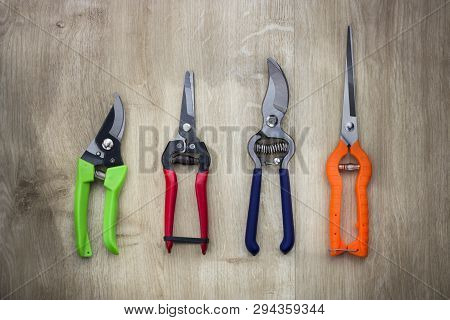 Professional Sharp Bypass Pruning Shears , Tree Trimmers Secateurs, Hand Pruner, Garden Shears, Clip