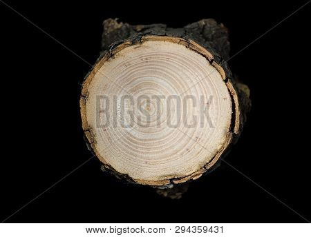 Sawn Off Logs Exposing Cross-section Of Hardwood Grain