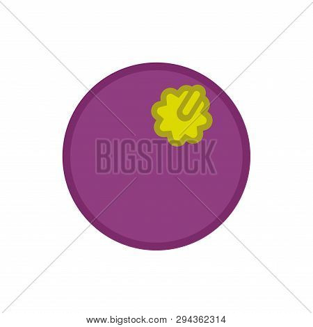 Mangosteen Isolated. Fruit Cartoon Style Vector Illustration
