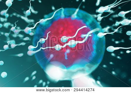 3d Illustration Sperm And Egg Cell, Ovum. Sperm Approaching Egg Cell. Native And Natural Fertilizati