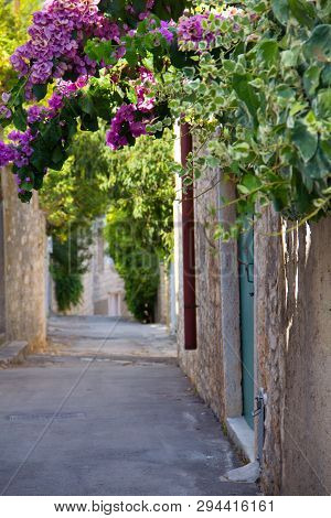 Old Street With Flowers In Supetar Town In Brac Island, Croatia.