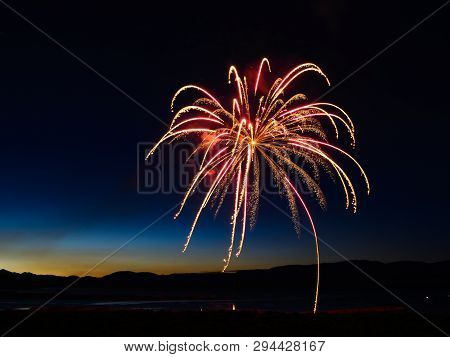 Fireworks From 4th Of July In The Shape Of Plam Tree