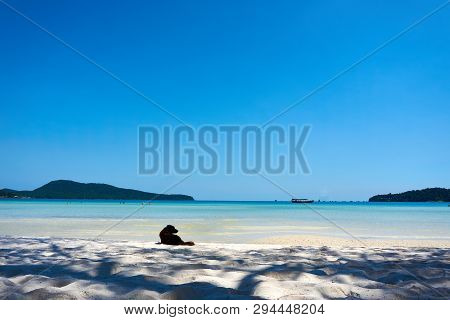 Dog Lies At Beach At Nice Sunny Summer Day. Koh Rong Sanloem Island, Saracen Bay. Cambodia, Asia