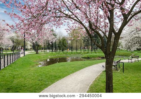 Bialogard, West Pomeranian / Poland - 2019: A Woman With A Children Pram Strolls In The Park Alleys 