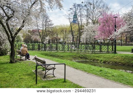 Bialogard, West Pomeranian / Poland - 2019: Women With A Dog Rest On A Bench In A Spring City Park