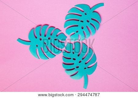Seamless Background Of Monstera Leaves Colorful . Tropical Palm Leaves Background. Selective Focus
