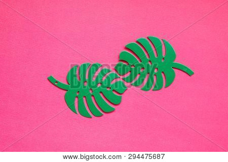 Seamless Background Of Monstera Leaves Colorful . Tropical Palm Leaves Background. Selective Focus