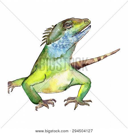 Exotic Animal Wild Animal In A Watercolor Style. Background Illustration Set. Isolated Reptilia Illu