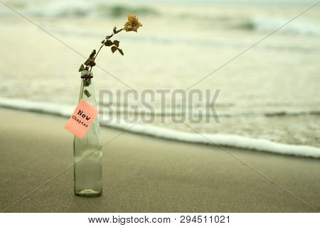 Notes On The Bottle - New Chapter. With Transparent Bottle, A Dried White Rose And Paper Color Note 