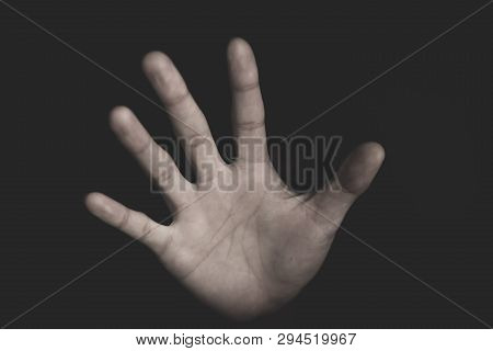 Homen Palm,stop Sexual Abuse , Anti-trafficking And Stopping Violence Against Women, International W