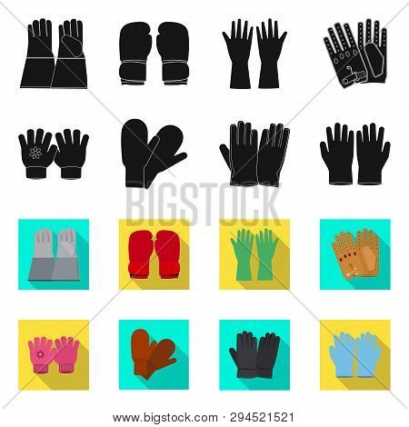 Vector Illustration Of Glove And Winter Sign. Collection Of Glove And Equipment Vector Icon For Stoc