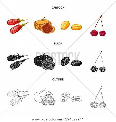 Vector Illustration Of Food  And Raw  Logo. Set Of Food  And Nature   Stock Vector Illustration.