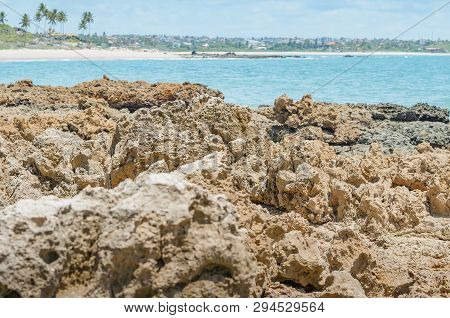 Beach Rocks, Rocks With Holes Made By The Waves Of The Sea. Spongy Rocks. Set Of Rocks Near The Sea 