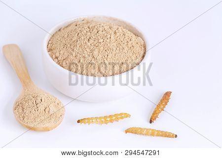 Bamboo Worm Powder. Bamboo Caterpillar Flour For Insects Eating As Food Edible Items Made Of Cooked 