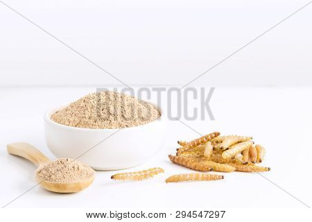 Bamboo Worm Powder. Bamboo Caterpillar Flour For Insects Eating As Food Edible Items Made Of Cooked 