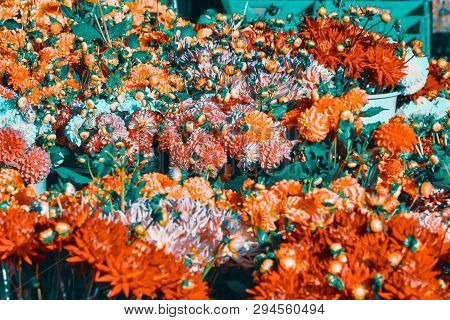 Rheydt, Germany - October 08, 2016: A Flower Bed Is Made Of Many Floral Bouquets On A Local Market