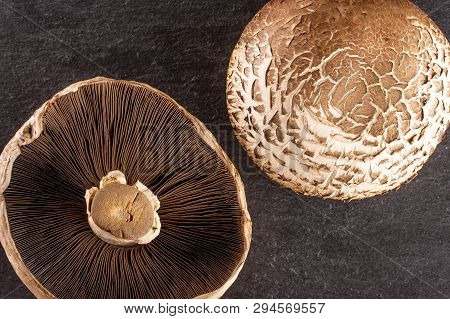 Group Of Two Whole Fresh Brown Mushroom Portobello Ventral View Flatlay On Grey Stone