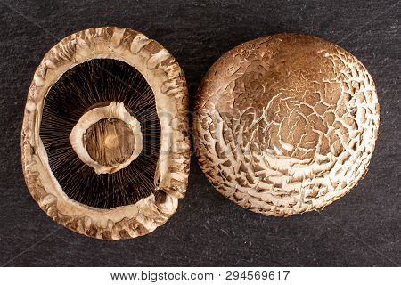 Group Of Two Whole Raw Fresh Brown Mushroom Portobello Ventral View Flatlay On Grey Stone