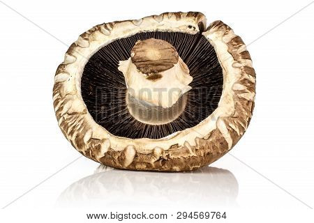 One Whole Fresh Brown Mushroom Portobello With A Stripe Ventral View Isolated On White Background