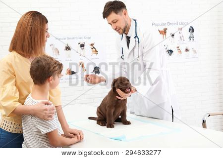 Mother And Son With Their Pet Visiting Veterinarian In Clinic. Doc Vaccinating Labrador Puppy