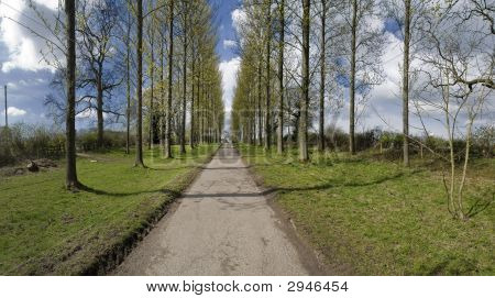 Estrada do país