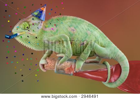 Kameleontti Pary aika