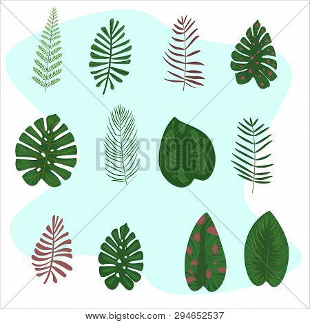 Tropical Banner Palm Vector Photo Free Trial Bigstock