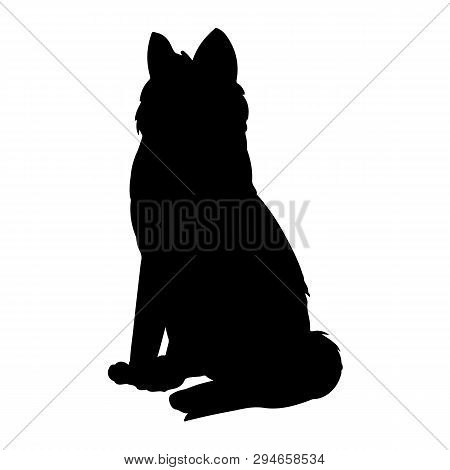 Siberian Husky Or Laika Dog Silhouette. Domestic Animal Or Pet