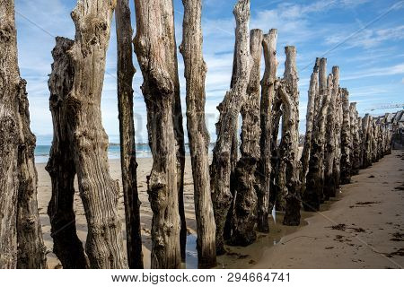 Big Breakwater, 3000 Trunks To Defend The City From The Tides, Plage De L Eventail Beach In Saint-ma