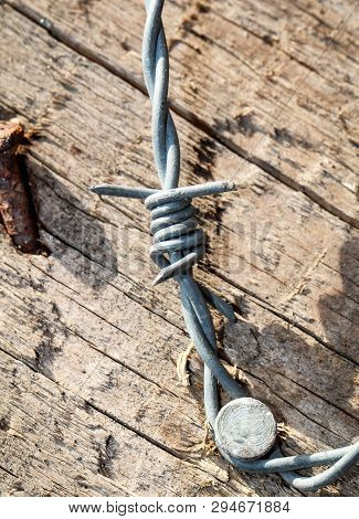 This Is A Detail Of A Barbed Wire
