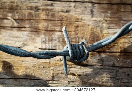 This Is A Detail Of A Barbed Wire