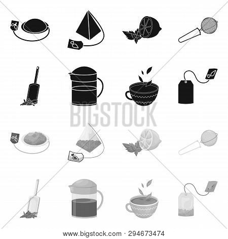 Vector Illustration Of Healthy And Floral  Sign. Set Of Healthy And Gradient Vector Icon For Stock.