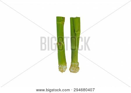 Fresh Green Celery Vegetable Of Celery Head On White Background With Cilpping Path