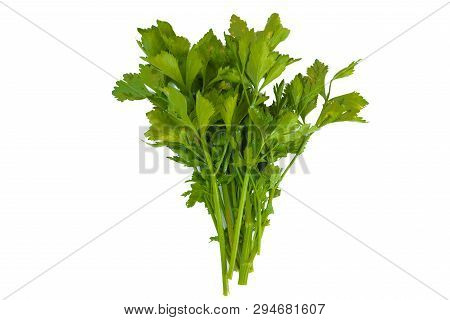 Fresh Green Celery Vegetable Of Celery Leaf On White Background With Cilpping Path