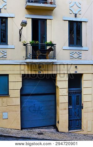 Two Dogs On The Balcony Of A House On The #66a/66 Rua Da Conceican Da Gloria In Lisbon, Portugal. No