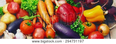 Different Bio Vegetables. Selective Focus. Food Nature.