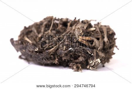 Bird Of Prey (owl), Dropping, Mouse Skull And Bones