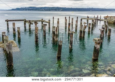 A View Of Decaying Pilings Near Shore In Ruston, Washington.