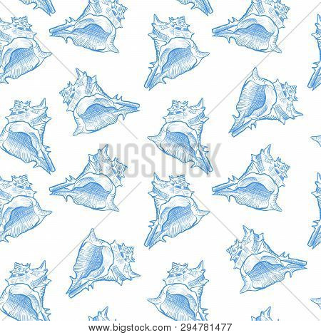 Seashell Hand Drawn Seamless Vector Pattern. Mollusk, Shellfish, Conch Decorative Engraving. Exotic 